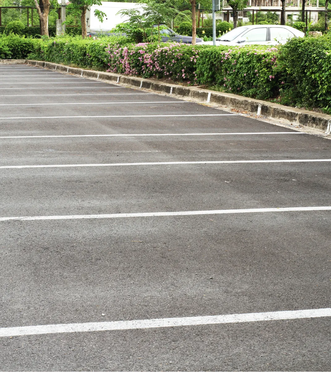Empty parking lot with white lines and hedges along the edge; one car is partially visible behind the bushes.